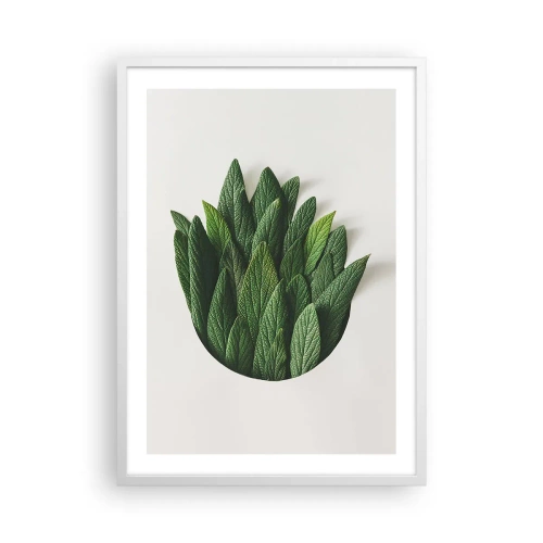 Affiche dans un cadre blanc - Poster - Curiosité sans retenue - 50x70 cm