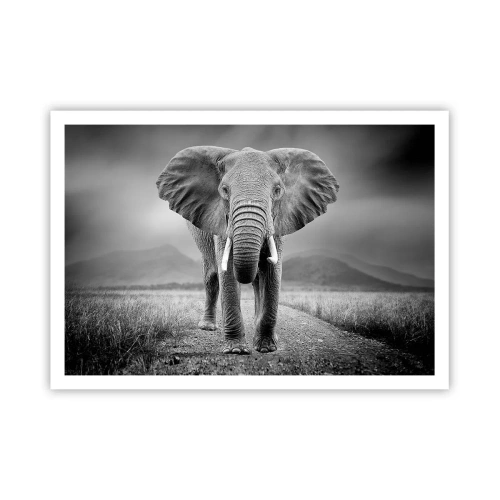 Affiche - Poster - Un puissant éléphant dans la savane aux tons monochromes - 100x70cm - Les hôtes vous saluent - Décoration murale moderne pour le salon et la chambre ARTTOR