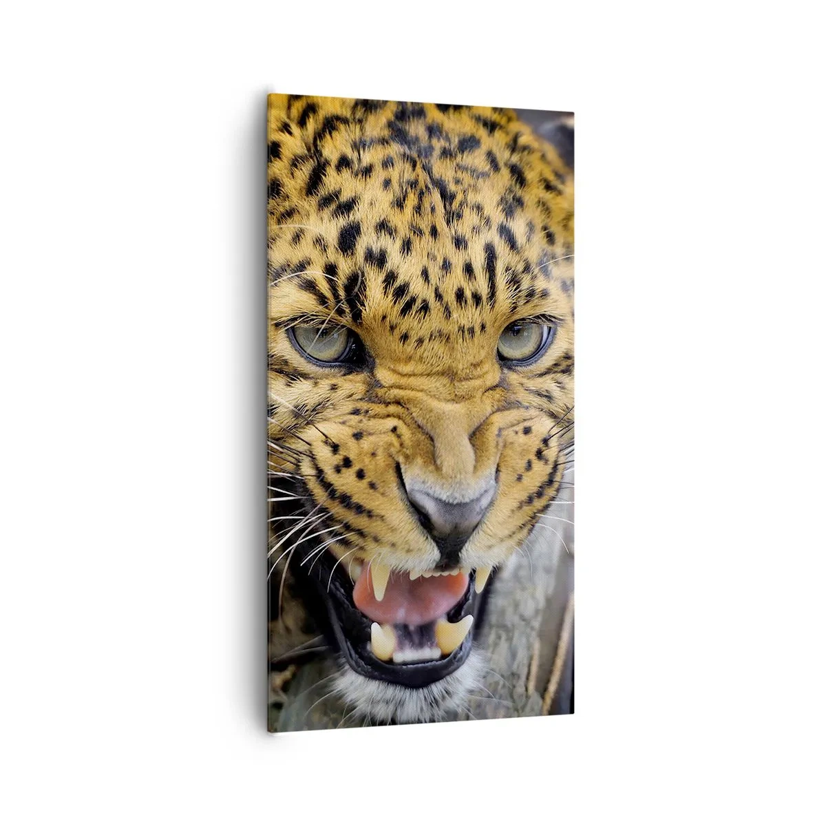 Impression sur toile - Image sur toile - Reste en retrait, je te préviens ! - 65x120 cm