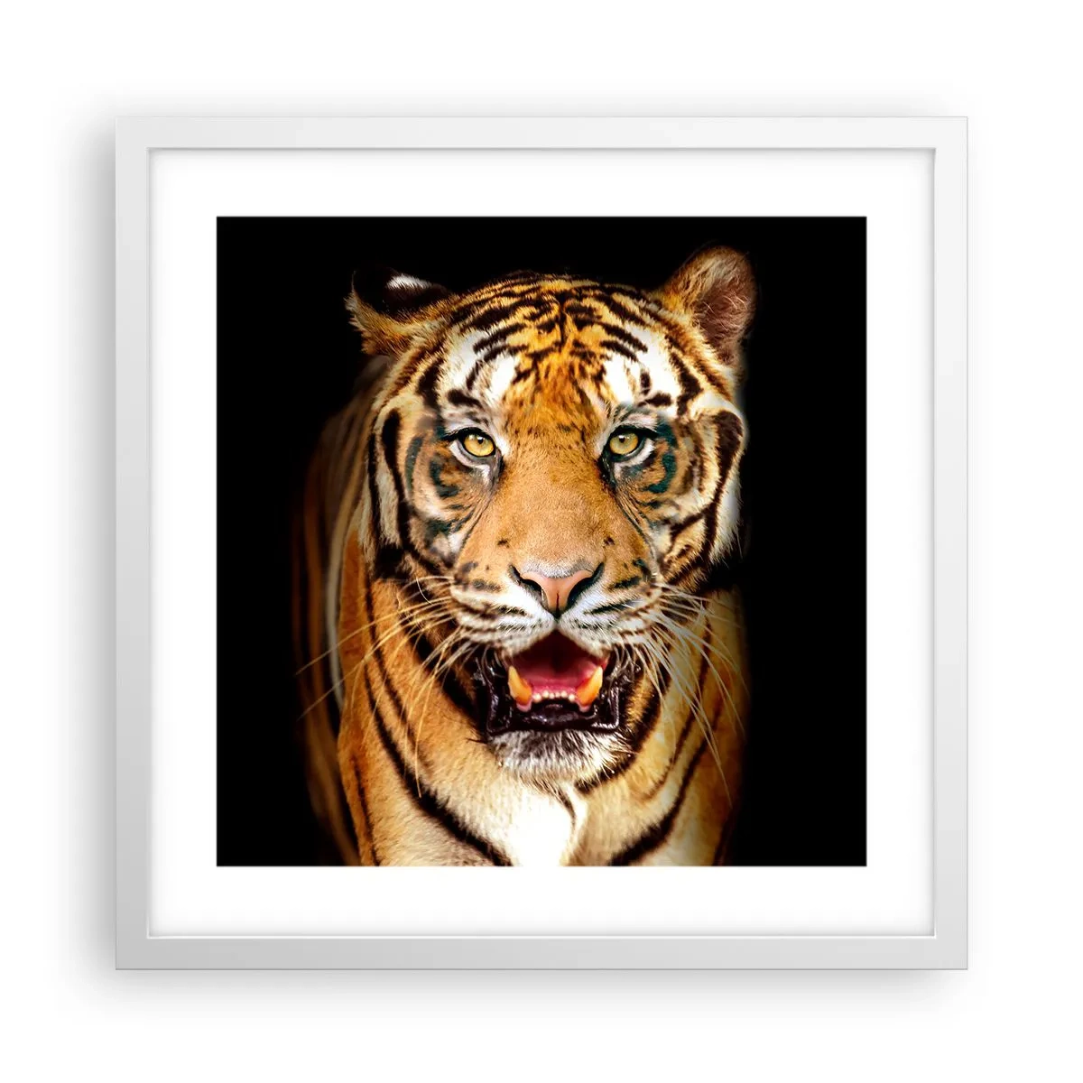 Affiche dans un cadre blanc - Poster - Le coeur sauvageon - 40x40 cm