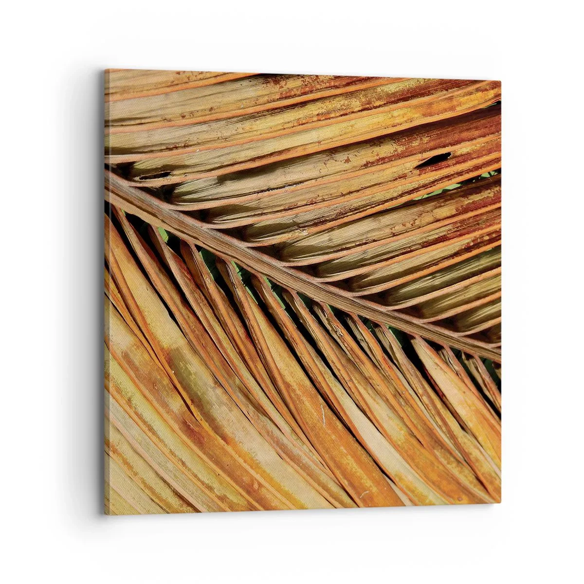 Impression sur toile - Image sur toile - Or de noix de coco - 70x70 cm