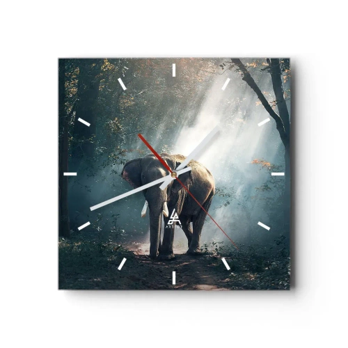 Horloge murale - Pendule murale - Éléphant dans la lumière de la forêt - 30x30cm - Une balade tranquille - Décoration murale moderne pour le salon et la chambre ARTTOR