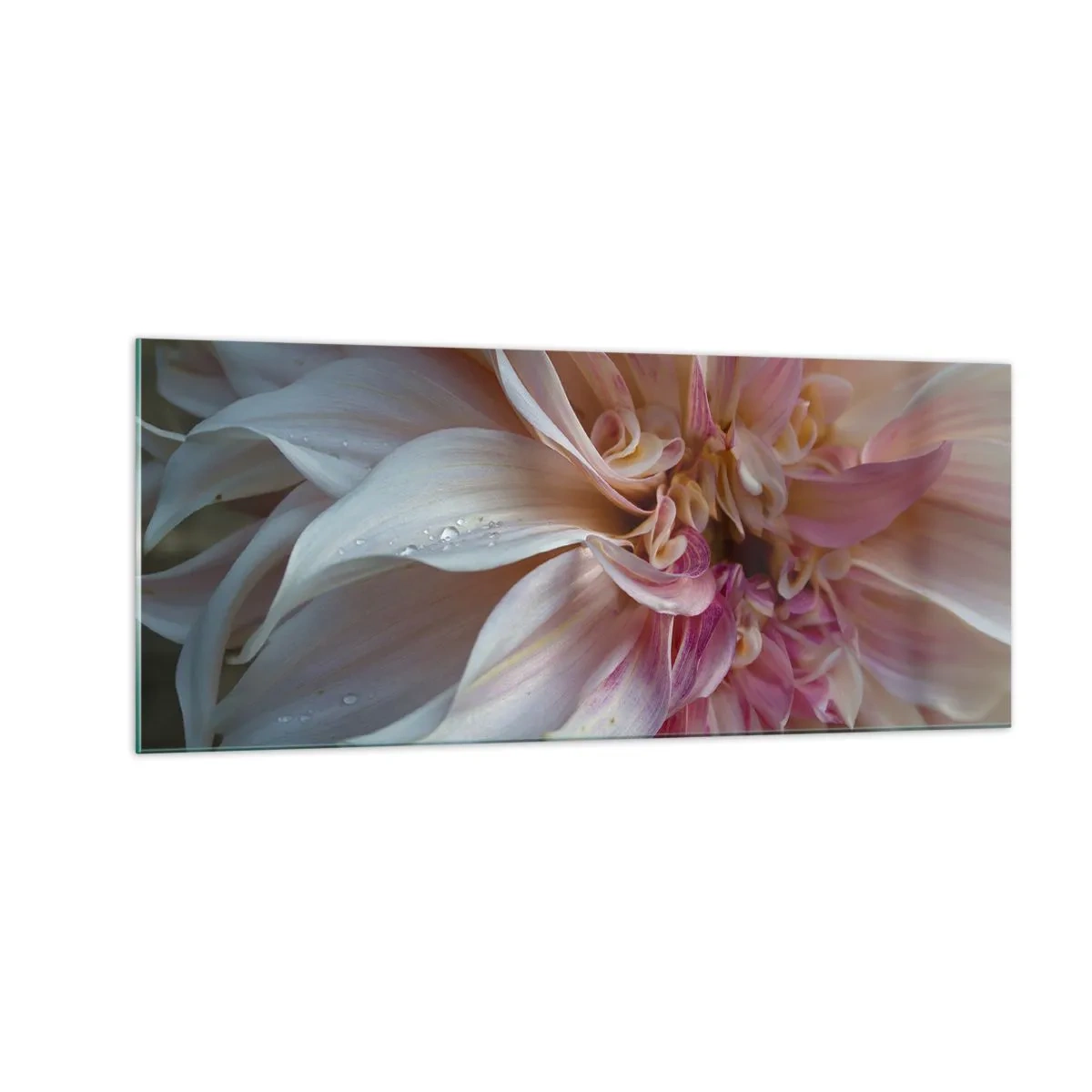Impression sur verre - Image sur verre - Fraîcheur fleurissante - 100x40 cm
