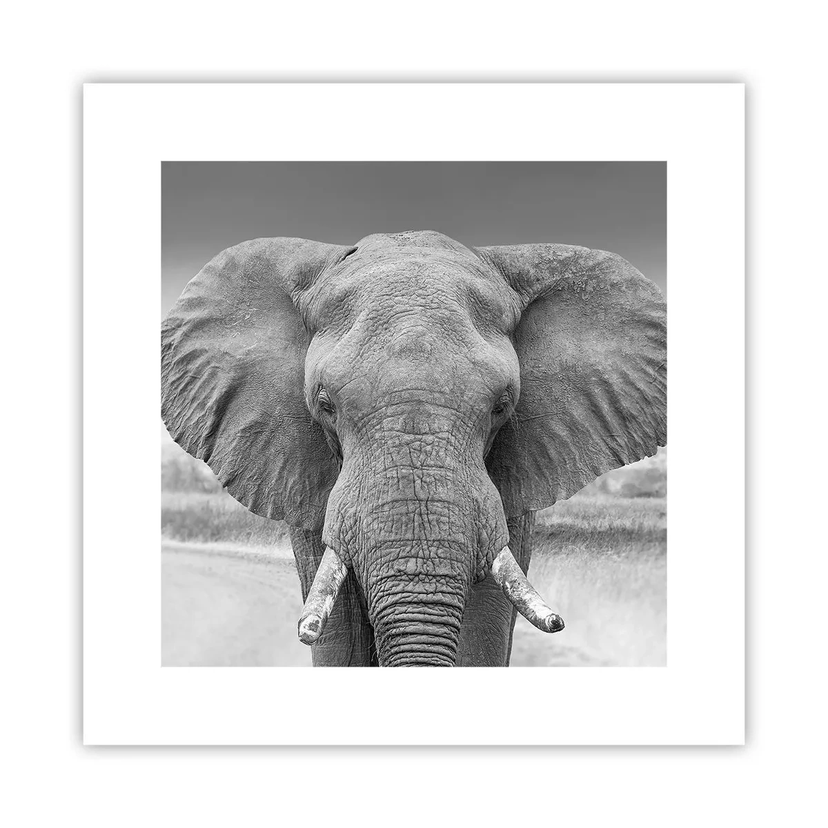 Affiche - Poster - Bienvenue dans mon monde - 30x30 cm