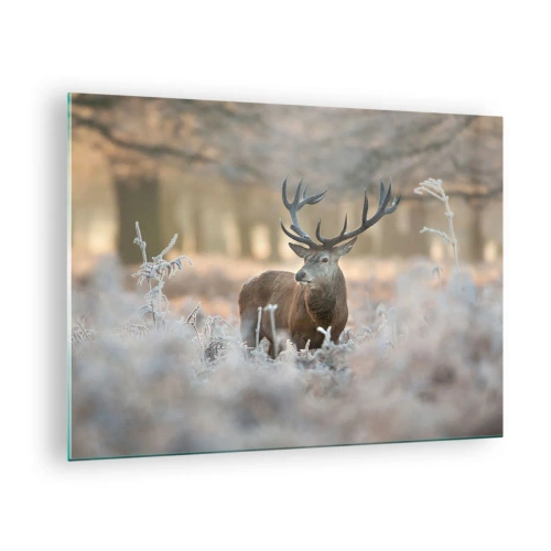 Impression sur verre - Image sur verre - Un cerf dans une clairière gelée entourée d'une forêt hivernale - 70x50cm - Une matinée animée - Décoration murale moderne pour le salon et la chambre ARTTOR