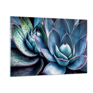Impression sur verre - Image sur verre - Gros plan sur les feuilles vertes luxuriantes des plantes succulentes - 120x80cm - Force vital - Décoration murale moderne pour le salon et la chambre ARTTOR