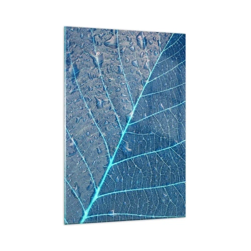 Impression sur verre - Image sur verre - Une feuille dans des tons bleus avec des gouttes d'eau - 80x120cm - La vie en bleu - Décoration murale moderne pour le salon et la chambre ARTTOR