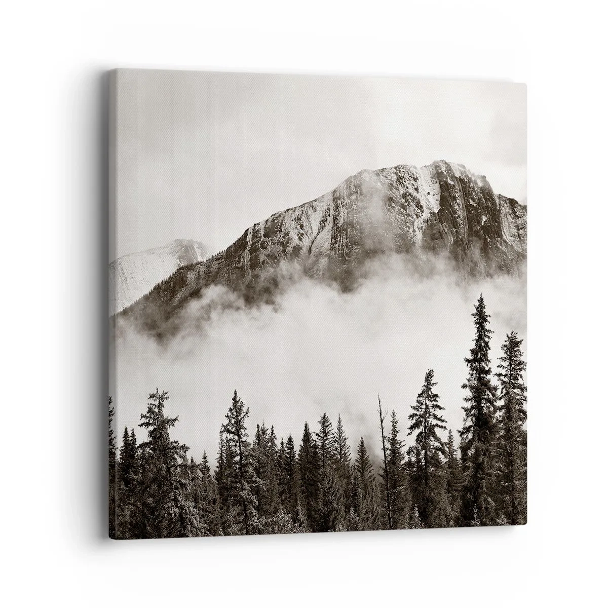 Impression sur toile - Image sur toile - Seigneur de granite - 40x40 cm