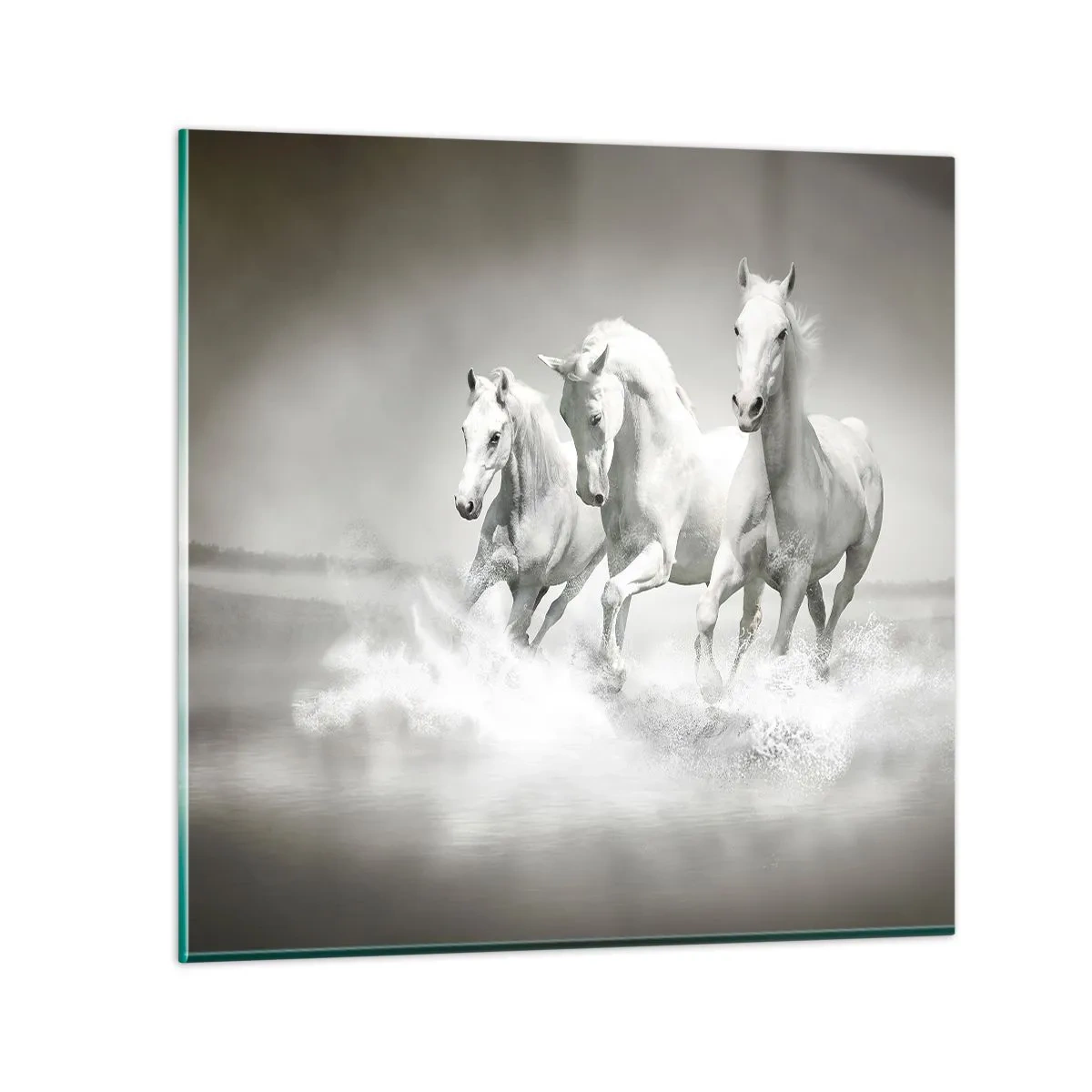 Impression sur verre - Image sur verre - La folie blanche - 30x30 cm