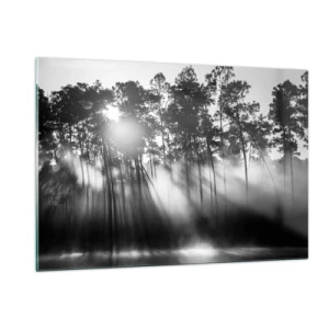 Impression sur verre - Image sur verre - Arbres noirs et blancs dans une forêt avec des rayons de soleil dans la brume - 120x80cm - Soleil inarrêtable - Décoration murale moderne pour le salon et la chambre ARTTOR
