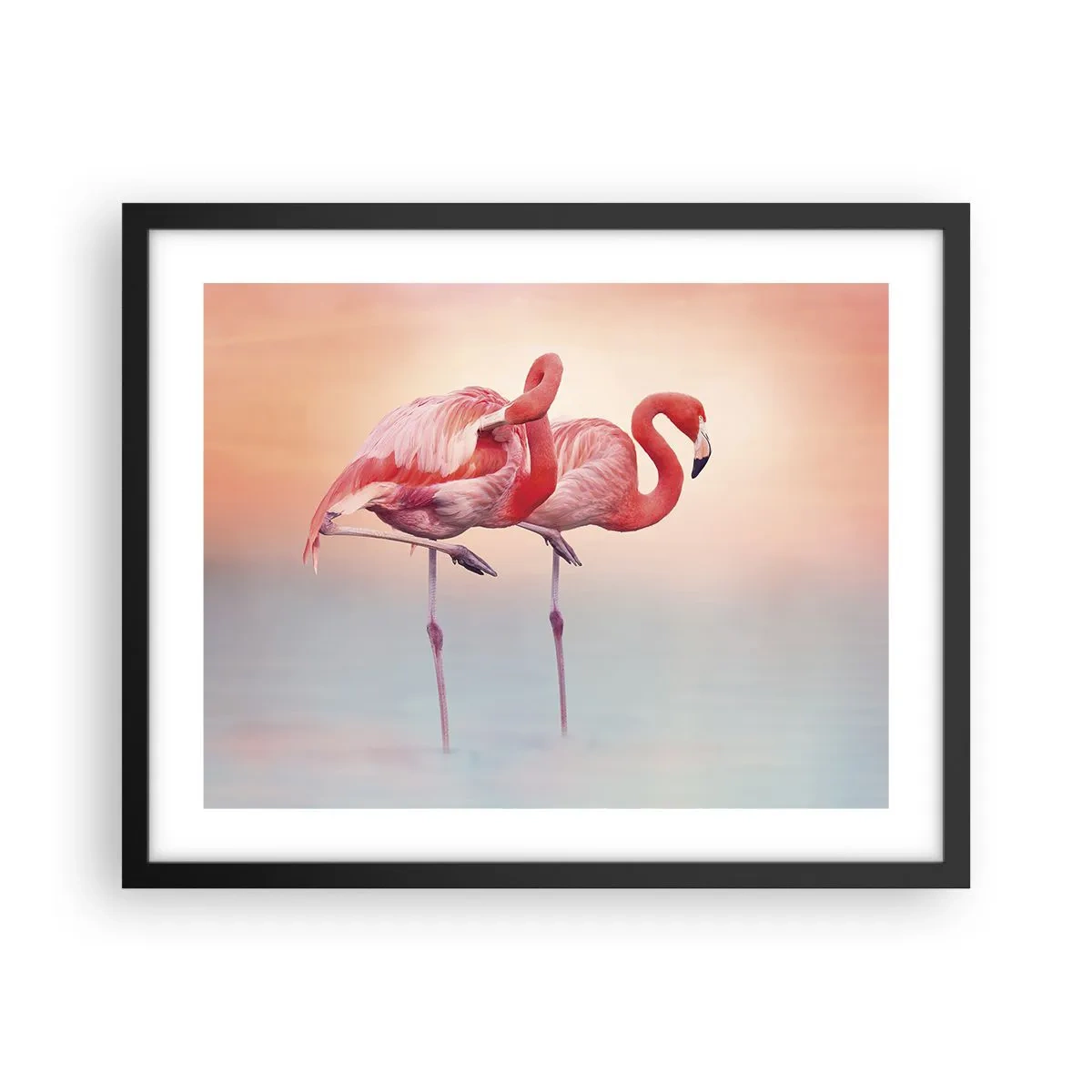 Affiche dans un cadre noir - Poster - Dans les couleurs du soleil couchant - 50x40 cm