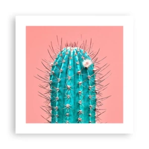 Affiche - Poster - Juste regarde - 40x40 cm