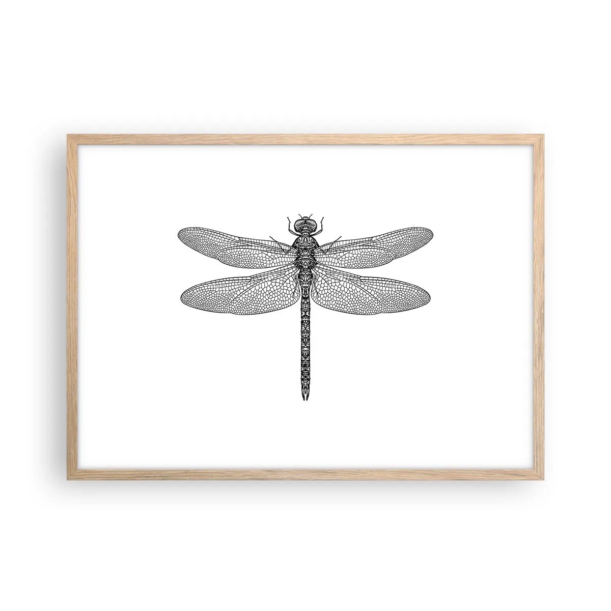 Affiche dans un chêne clair - Poster - Précision de la nature - 70x50 cm