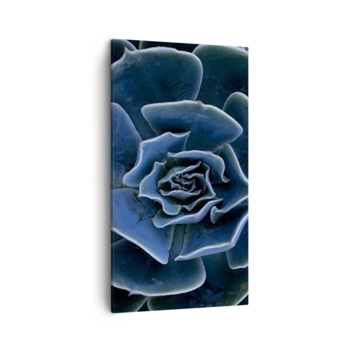 Impression sur toile - Image sur toile - Fleur du désert - 45x80 cm