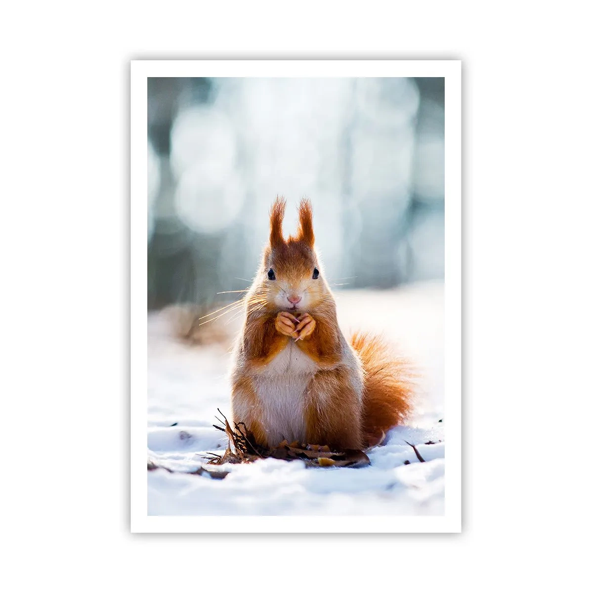 Affiche - Poster - Qu'est ce que tu regardes comme ça? - 70x100 cm