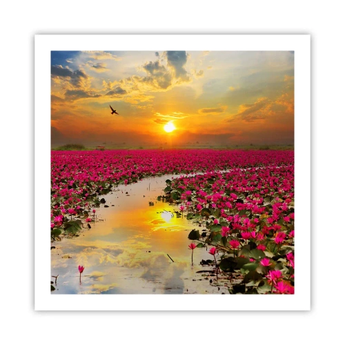 Affiche - Poster - La vie secrète du lac - 60x60 cm