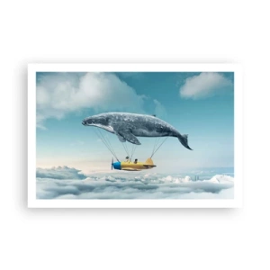 Affiche - Poster - Pourquoi pas? - 91x61 cm