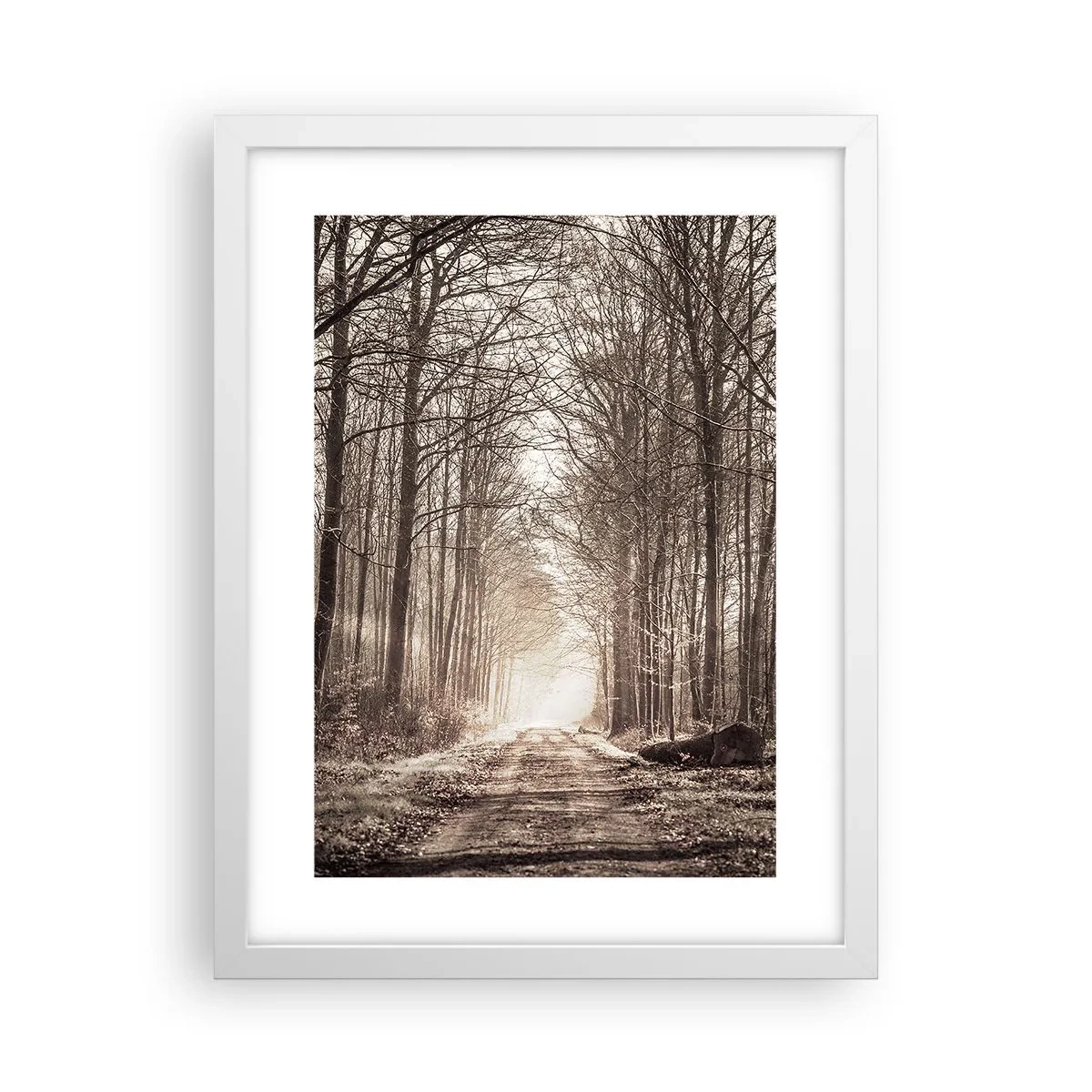 Affiche dans un cadre blanc - Poster - Cathédrale de la forêt - 30x40 cm