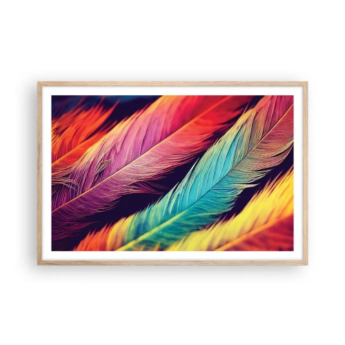 Affiche dans un chêne clair - Poster - Arc-en-ciel de plumes - 91x61 cm