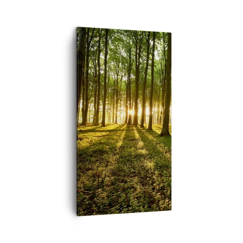 Impression sur toile - Image sur toile - Toutes les photographies de printemps - 45x80 cm