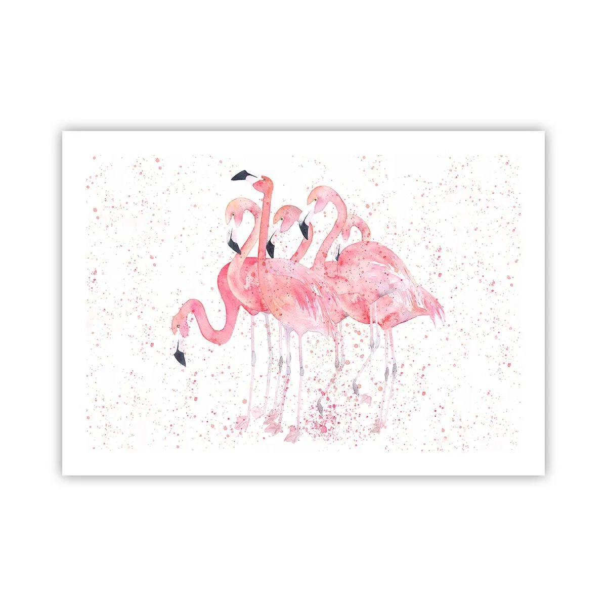 Affiche - Poster - Ensemble rose - 70x50 cm