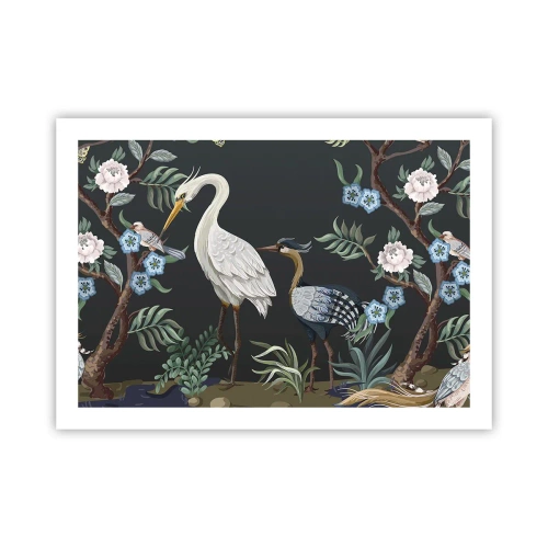 Affiche - Poster - Parade d'oiseaux - 70x50 cm