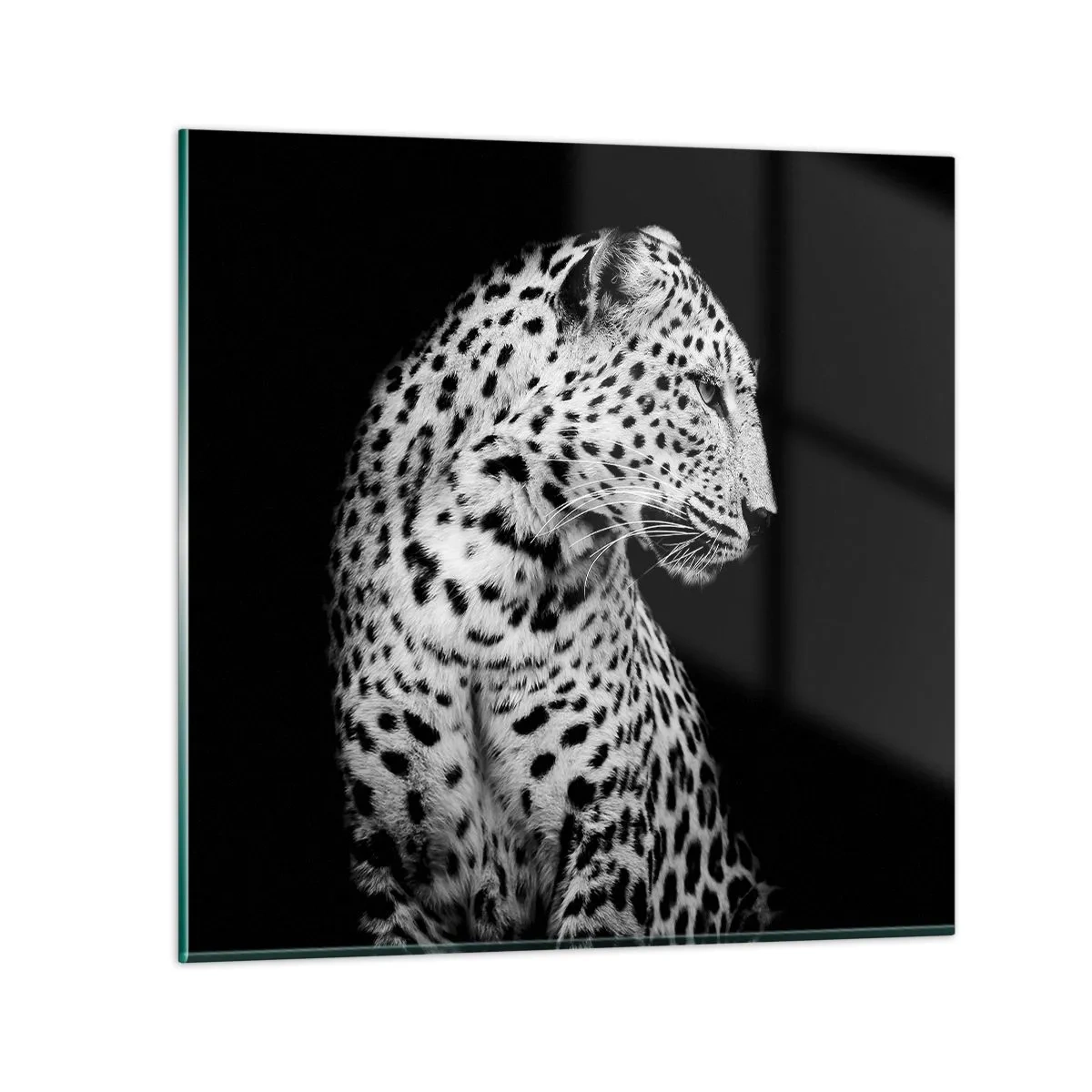 Impression sur verre - Image sur verre - Presque un profil parfait! - 30x30 cm