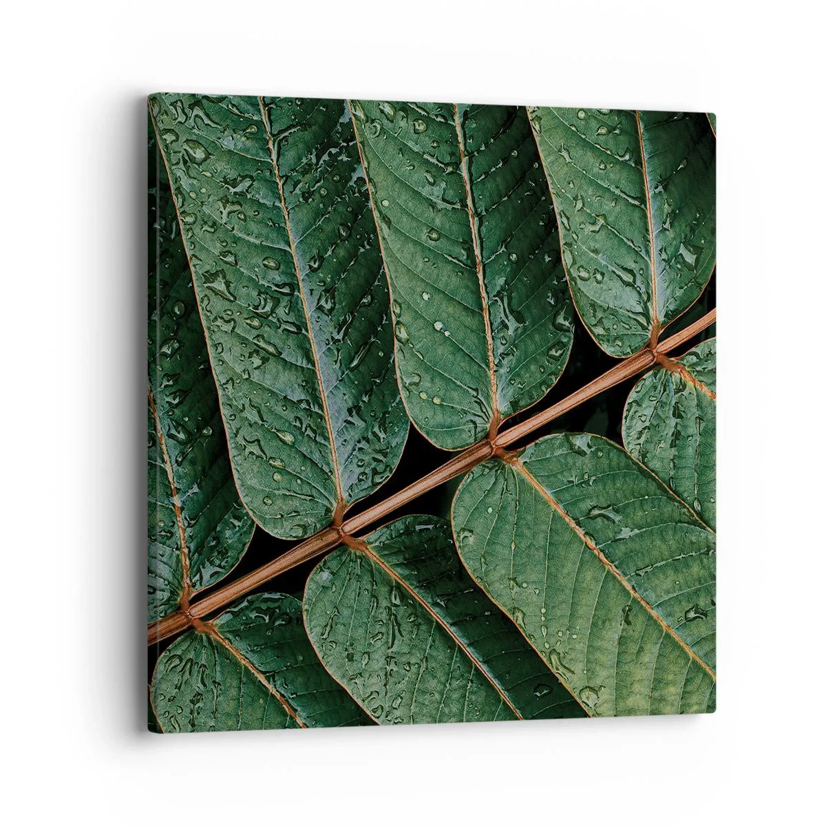 Impression sur toile - Image sur toile - Au rythme de la verdure - 40x40 cm