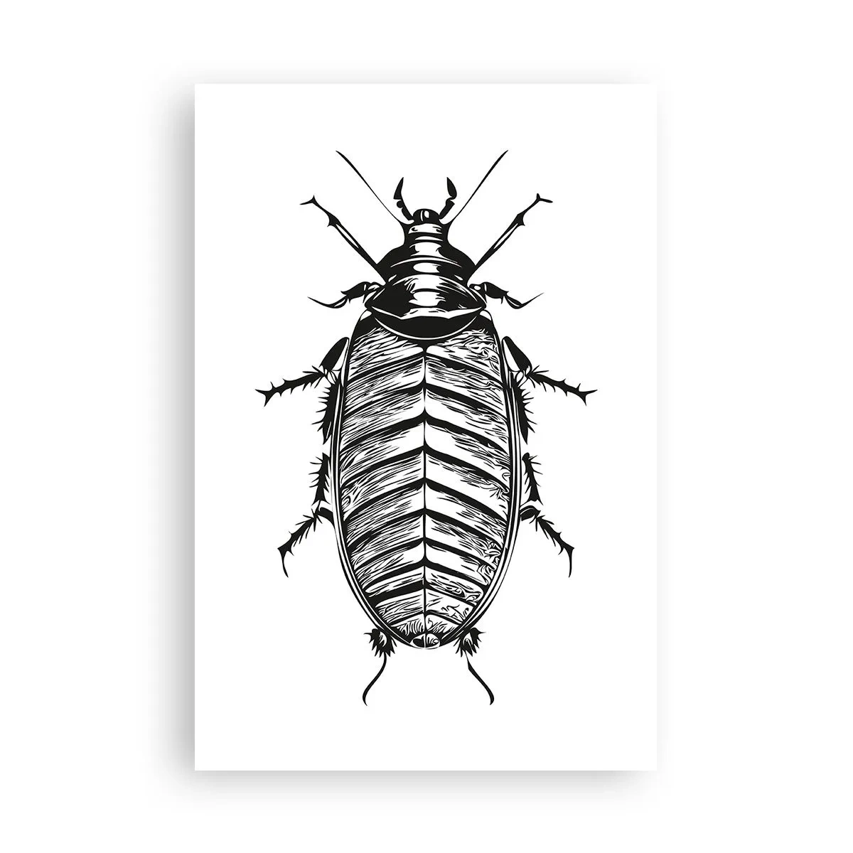 Affiche - Poster - Quel spécimen! - 61x91 cm