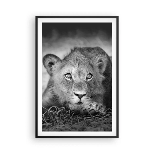 Affiche dans un cadre noir - Poster - Chiot royal - 61x91 cm