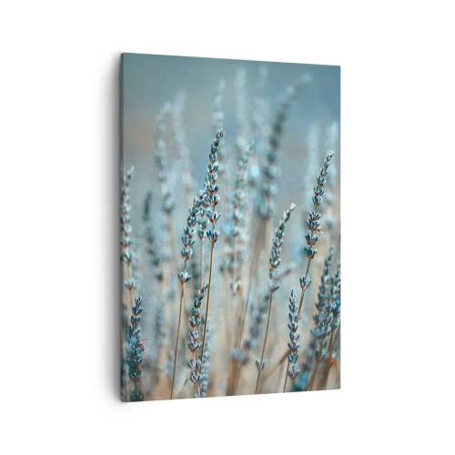 Impression sur toile - Image sur toile - Lavande dans les champs dans des tons pastel subtils - 50x70cm - Tige odorante - Décoration murale moderne pour le salon et la chambre ARTTOR