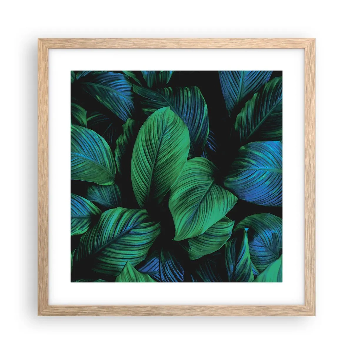 Affiche dans un chêne clair - Poster - Dans la foule verte - 40x40 cm