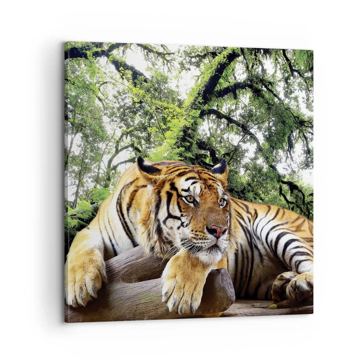 Impression sur toile - Image sur toile - Cordialement - 60x60 cm