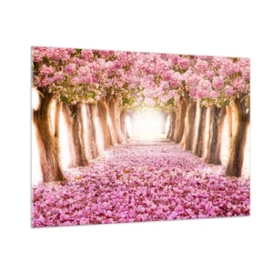 Impression sur verre - Image sur verre - Une allée d'arbres en fleurs avec des pétales roses au sol - 100x70cm - La route du paradis - Décoration murale moderne pour le salon et la chambre ARTTOR