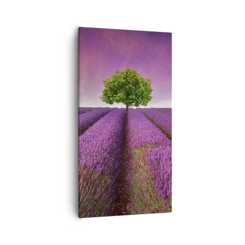 Impression sur toile - Image sur toile - Dans un champs de lavande - 55x100 cm