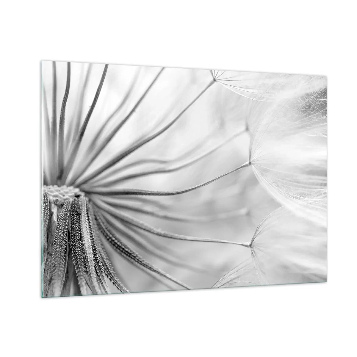 Impression sur verre - Image sur verre - Photographie macro d'un pissenlit dans des tons de noir et blanc - 100x70cm - Aigrette avant son envol - Décoration murale moderne pour le salon et la chambre ARTTOR