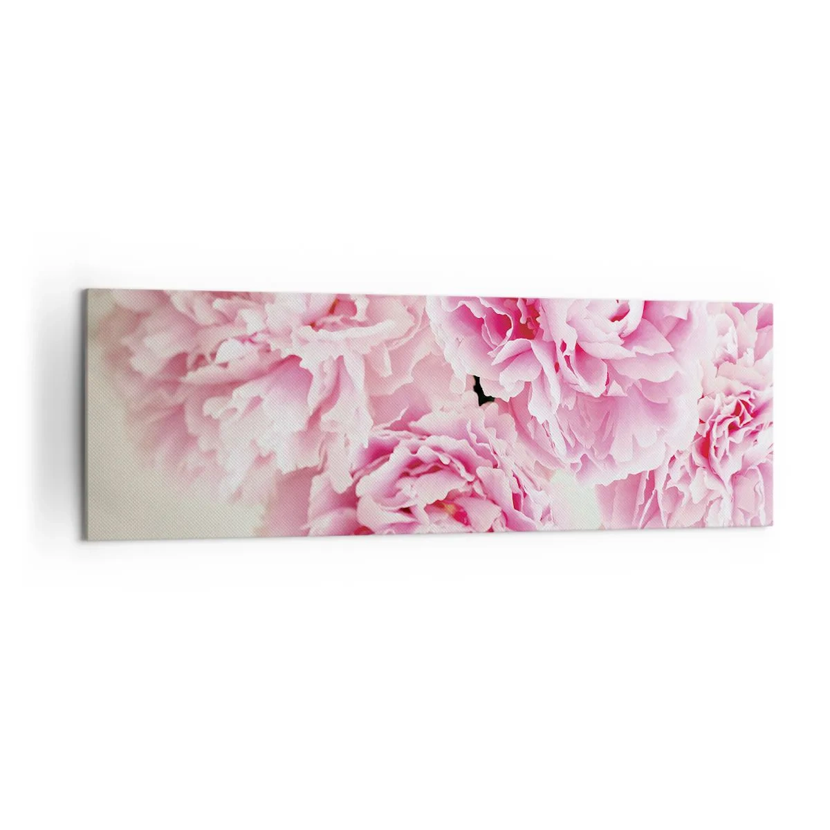 Impression sur toile - Image sur toile - Un bouquet de pivoines roses sur fond clair - 160x50cm - En glamour rose - Décoration murale moderne pour le salon et la chambre ARTTOR