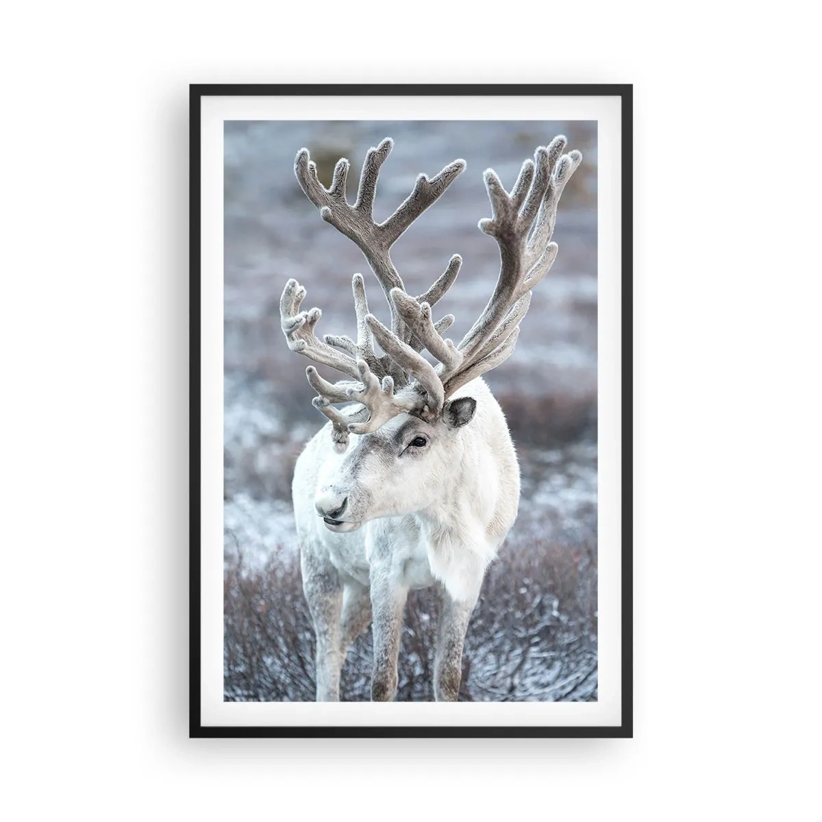 Affiche dans un cadre noir - Poster - Portrait au soleil - 61x91 cm