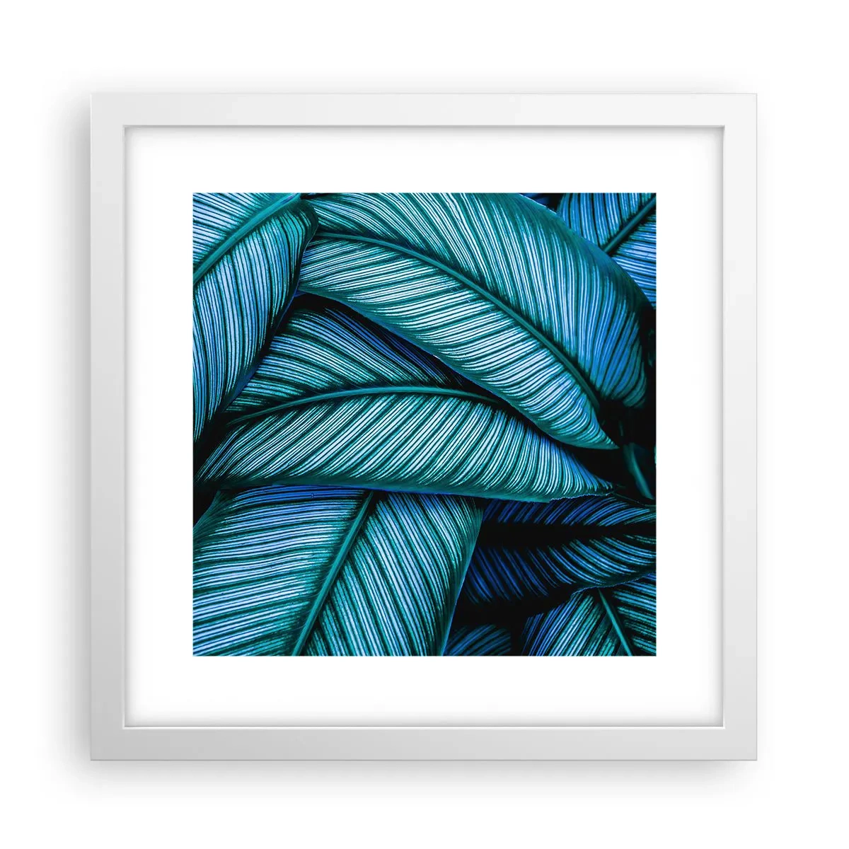 Affiche dans un cadre blanc - Poster - Lignes de vie - 30x30 cm