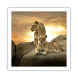 Affiche - Poster - Majesté royale - 60x60 cm