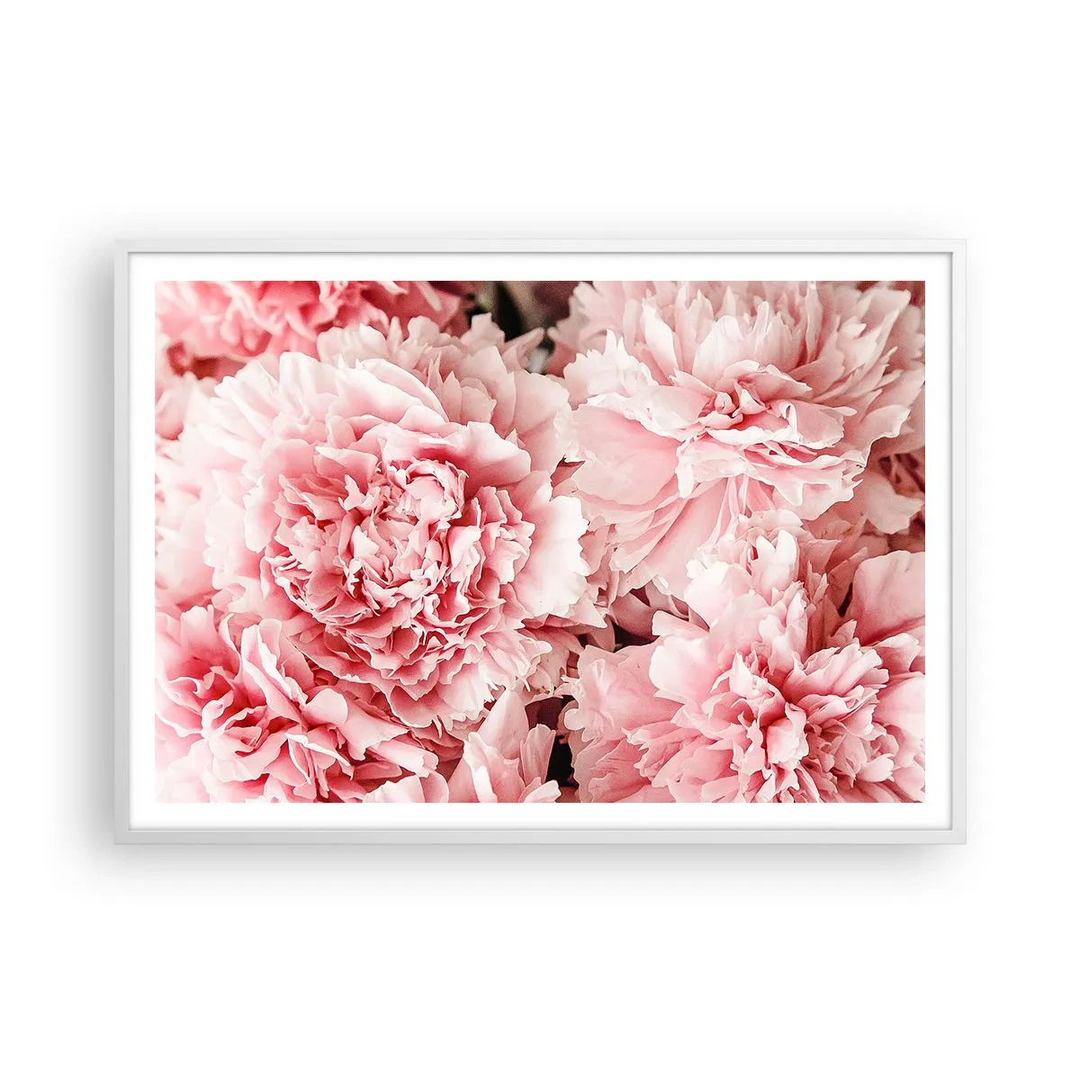 Affiche dans un cadre blanc - Poster - Rêve rose - 100x70 cm