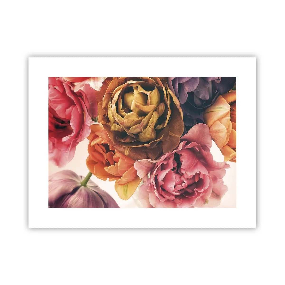 Affiche - Poster - La fête de la vie - 40x30 cm