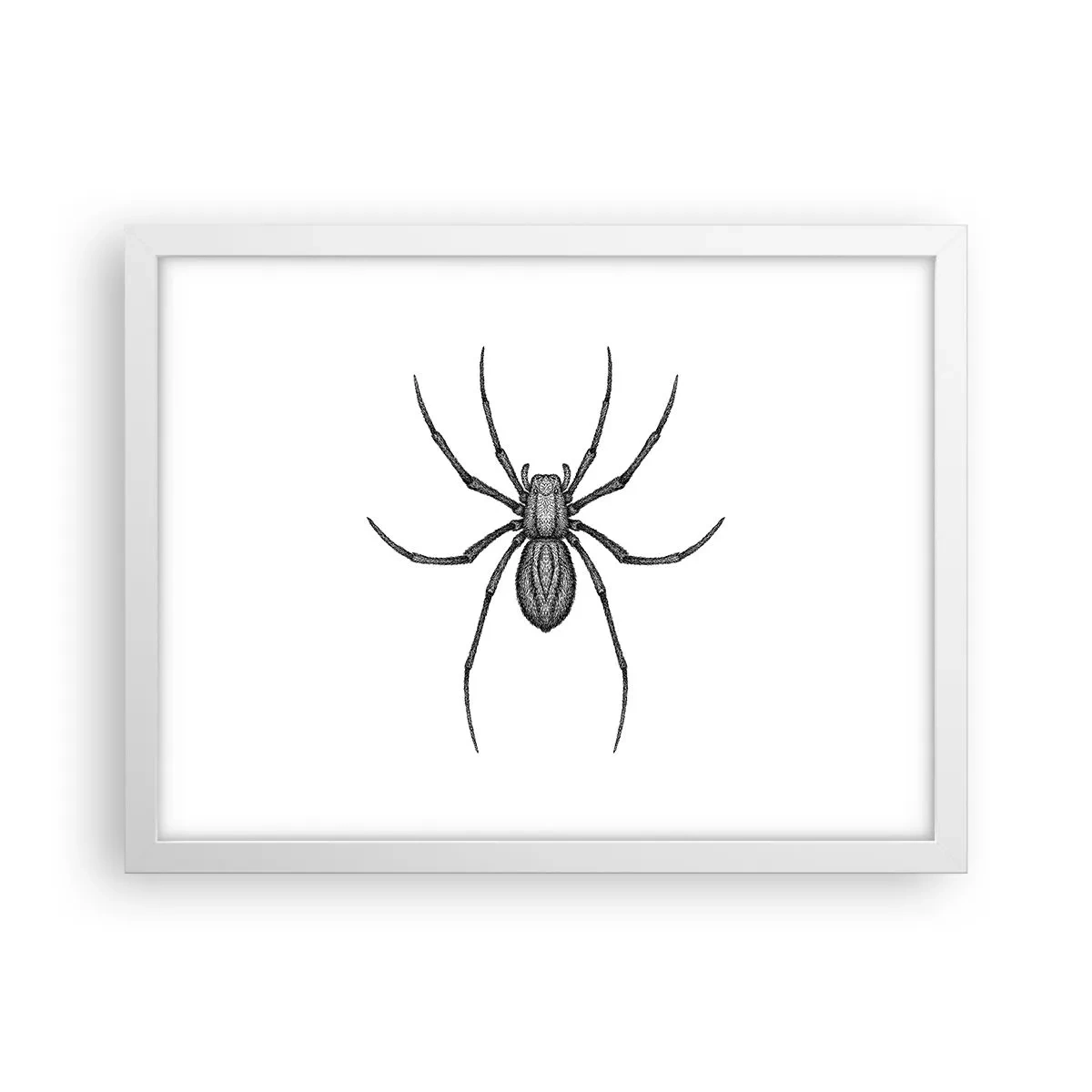 Affiche dans un cadre blanc - Poster - Une précision troublante - 40x30 cm