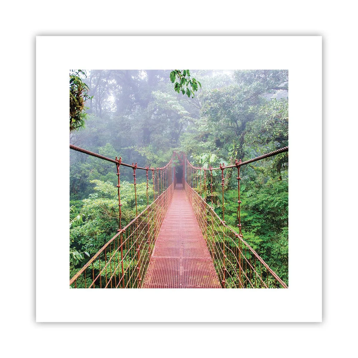 Affiche - Poster - Suspendu sur les couronnes - 30x30 cm