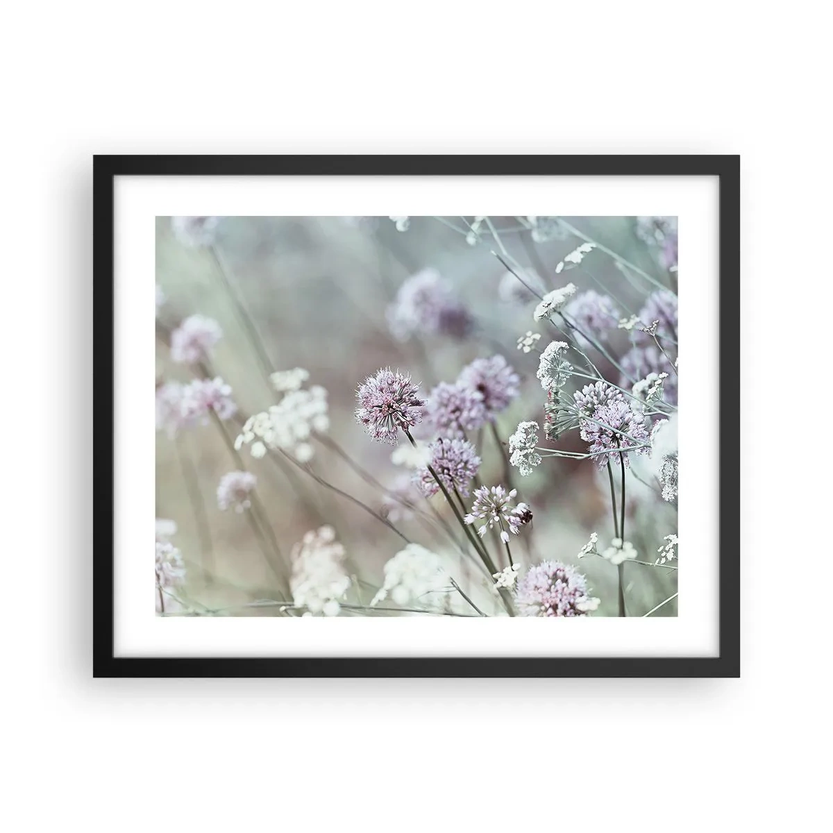 Affiche dans un cadre noir - Poster - Herbes douces en filigrane - 50x40 cm