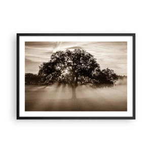Affiche dans un cadre noir - Poster - Des rayons de soleil brillent à travers un arbre solitaire - 70x50cm - Arbre de bonnes nouvelles - Décoration murale moderne pour le salon et la chambre ARTTOR