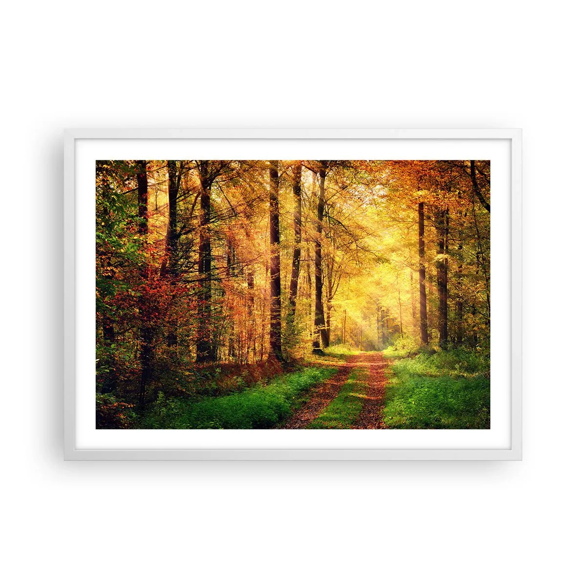 Affiche dans un cadre blanc - Poster - Silence d'or en forêt - 70x50 cm