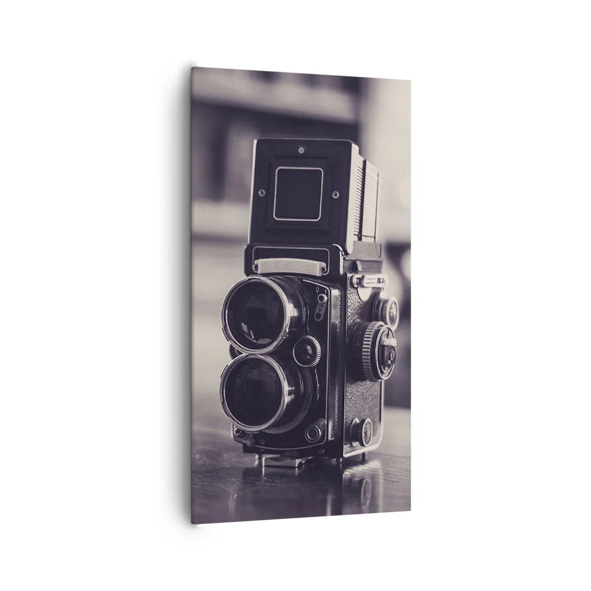 Impression sur toile - Image sur toile - La magie de la photographie ancienne - 65x120 cm