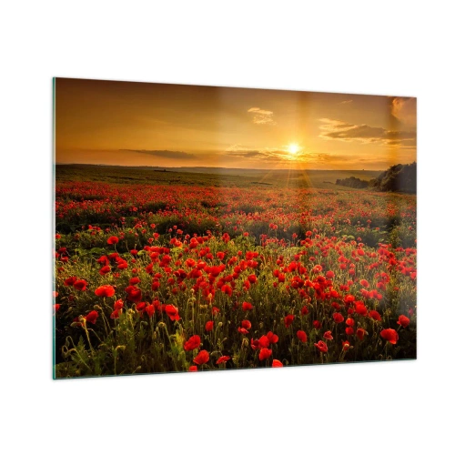 Impression sur verre - Image sur verre - Un champ de coquelicots illuminé par les rayons du soleil couchant - 100x70cm - Parmi les vagues des prairies bruissantes, parmi les fleurs du déluge - Décoration murale moderne pour le salon et la chambre ARTTOR