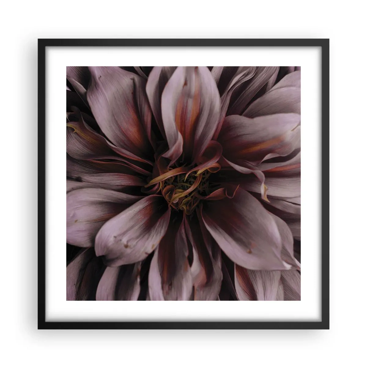 Affiche dans un cadre noir - Poster - Un coeur fleuri - 50x50 cm